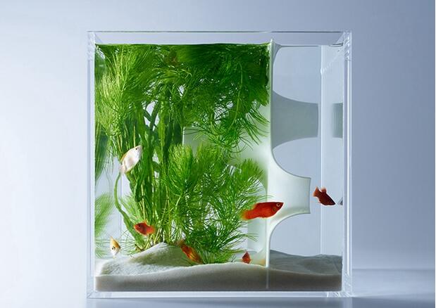 艺术家用3D打印创作出让人惊艳的水草造景