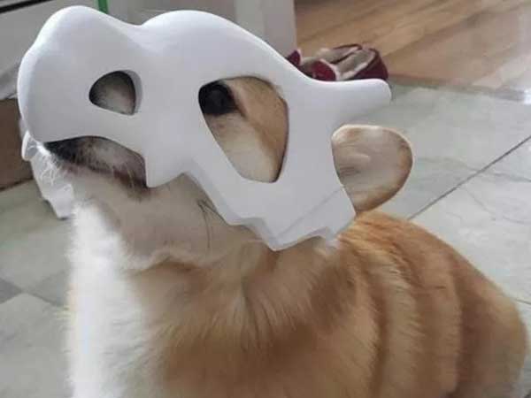 活用3D打印机打印宠物面具