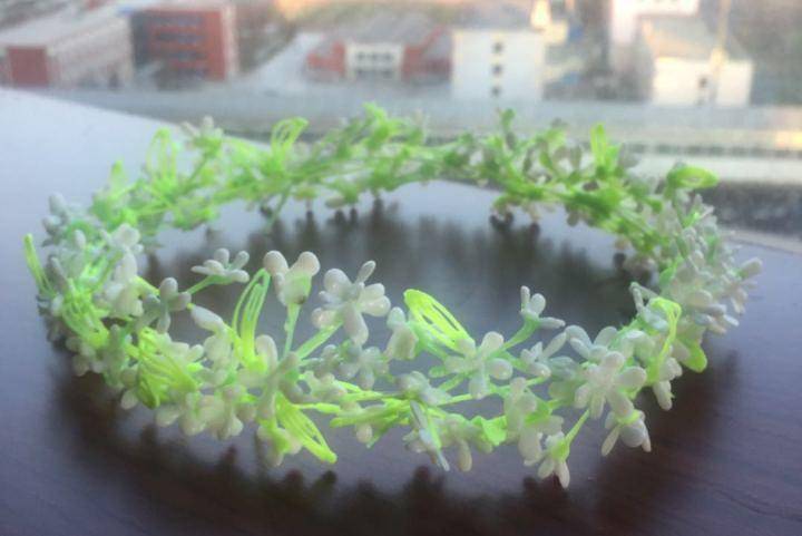 3D打印笔绘制_可带式花圈
