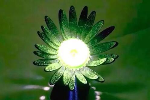 3D打印花会绽放自如！神奇之处在哪里？
