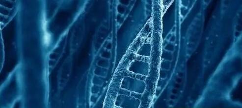 生物3D打印