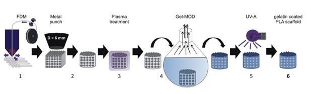 比利时利用3D打印技术开发临床前模型