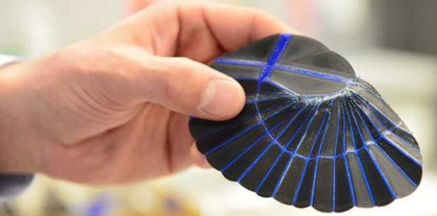 科学家受蠼螋可折叠翅膀启发研究可折叠3D打印结构
