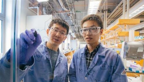 可对刺激作出反应的“智能”3D打印材料