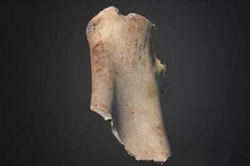 全球第一块3D打印甲骨文在英国剑桥大学展出