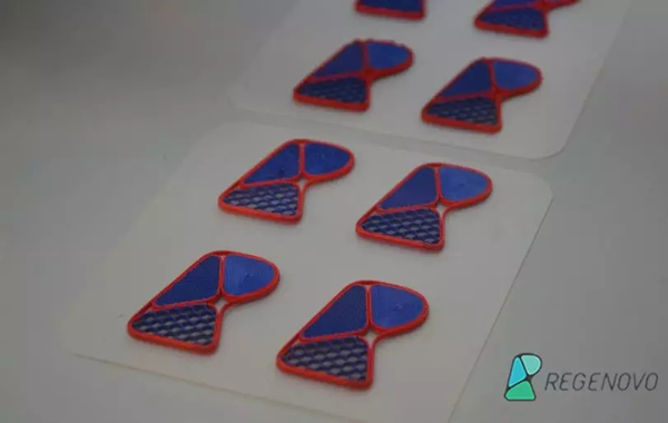生物3D打印样品