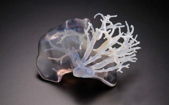 3D打印手术器官